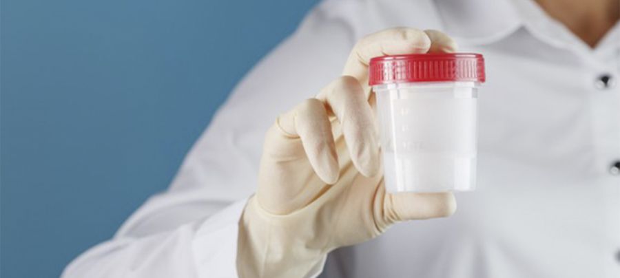 Донорство спермы